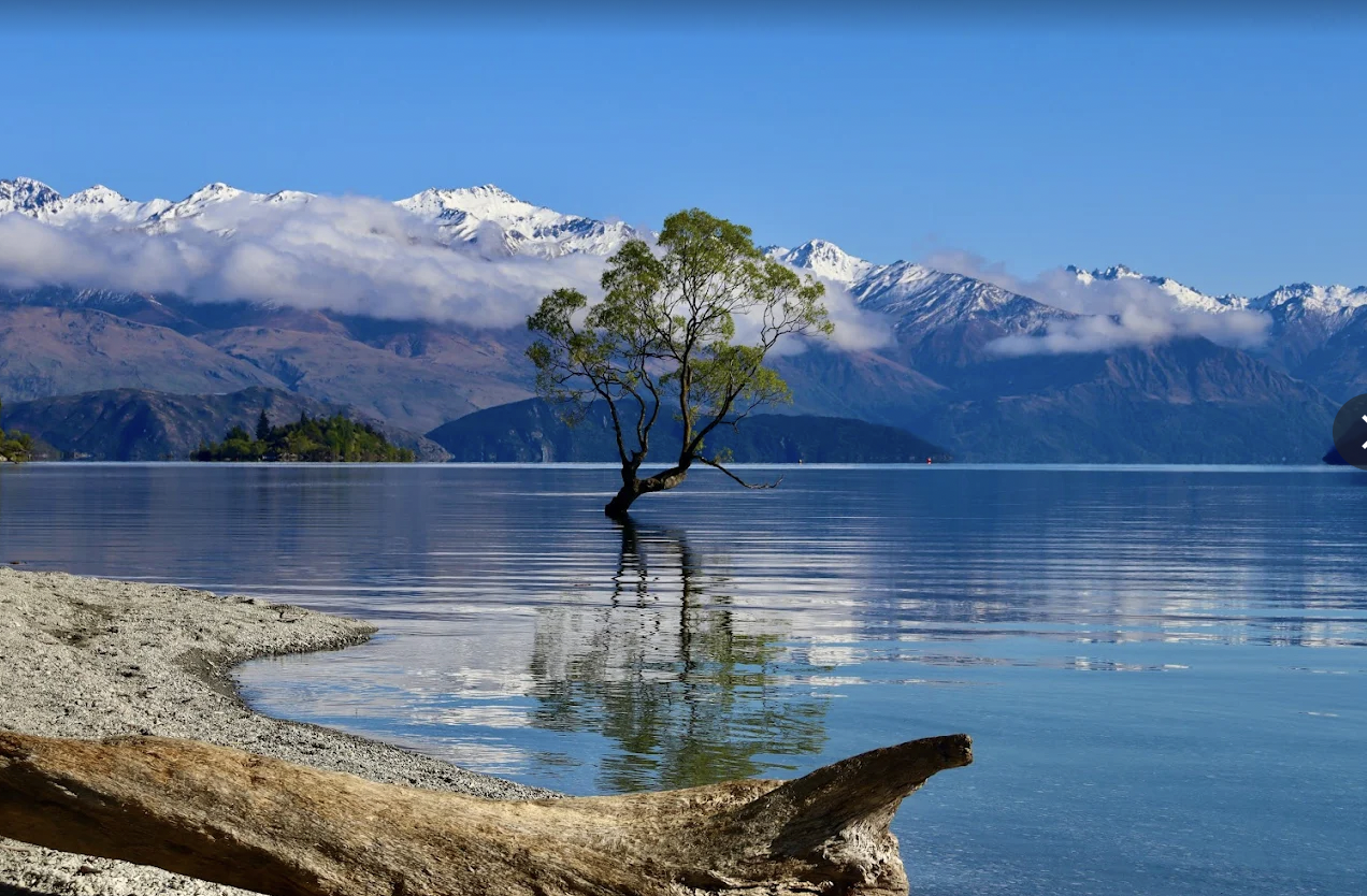 Screen Shot 2025-08-06 at 4.25.15 PM